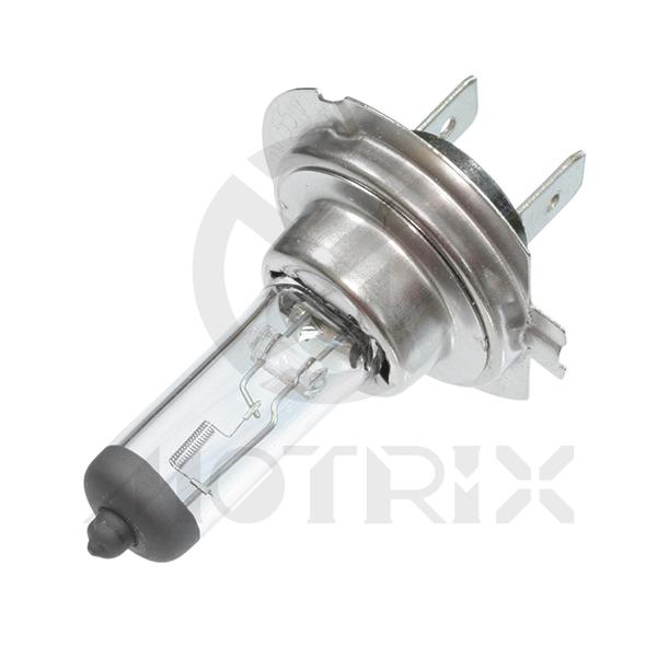 Halogen bulb PX26D. 12V/55W