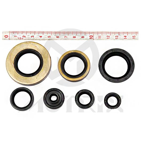 Oil seal kit for SUZUKI RM250