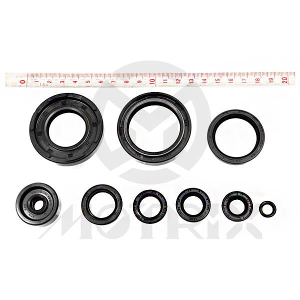 Oil seal kit for YAMAHA YZ250