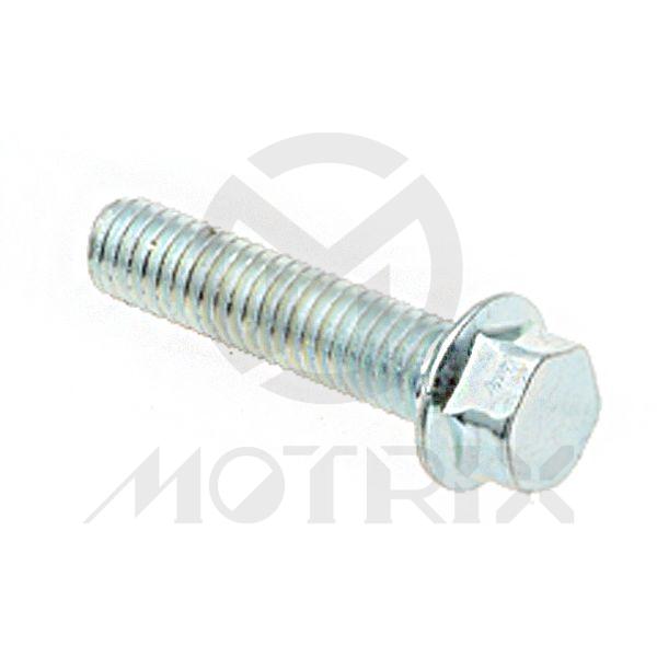Flange bolt-standard head (full thread), M6X25 AF8 P1.0, silver zinc (25PCS/PKG)