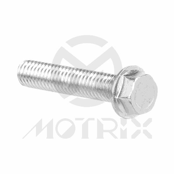 Flange bolt-standard head (full thread), M6X30 AF8 P1.0, silver zinc (25PCS/PKG)
