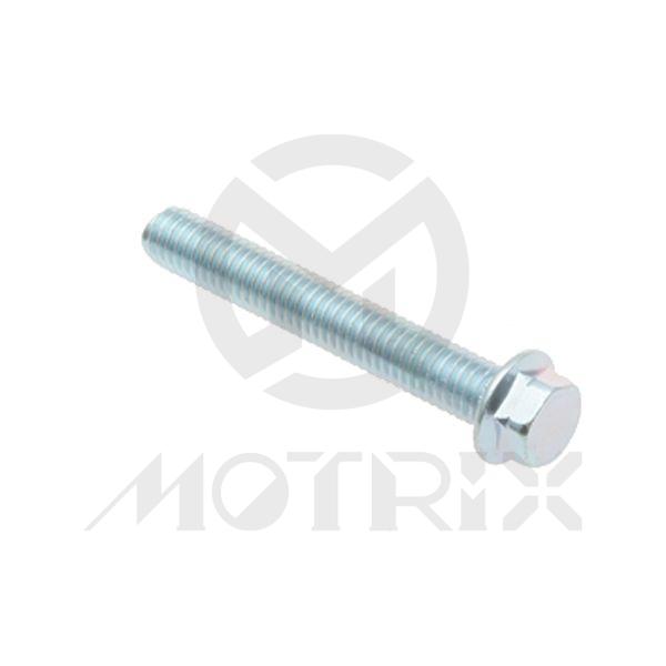 Flange bolt-standard head (full thread), M6X12 AF8 P1.0, silver zinc (25PCS/PKG)