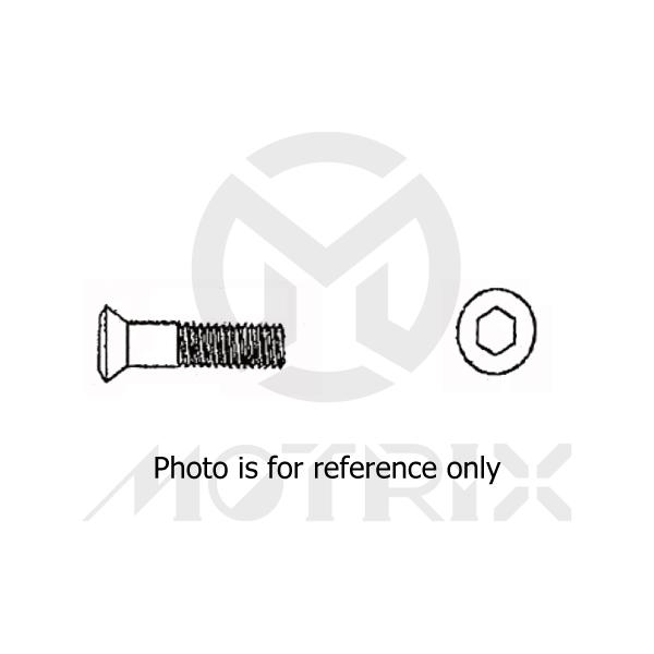 Procket bolt, M8X25 P1.25 AK6, silver zinc (25PCS/PKG)