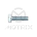 Plain bolts (full thread) High tensile 8.8, M6X20 AF10 P1.0, silver zinc (25PCS/PKG)