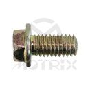 Flanged bolt-small head (full thread), M6X12 AF8 P1.0, silver zinc (25PCS/PKG)