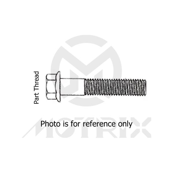 Flange bolt-small head (part thread) High tensile 8.8, M6X60 AF8 P1.0, silver zinc (25PCS/PKG)