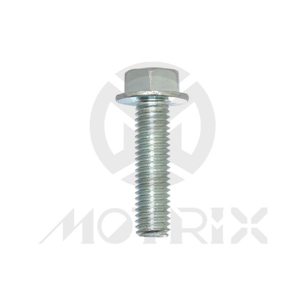 Flange bolt-standard head (full thread) High tensile 8.8, M6X20 AF10 P1.0, silver zinc (25PCS/PKG)