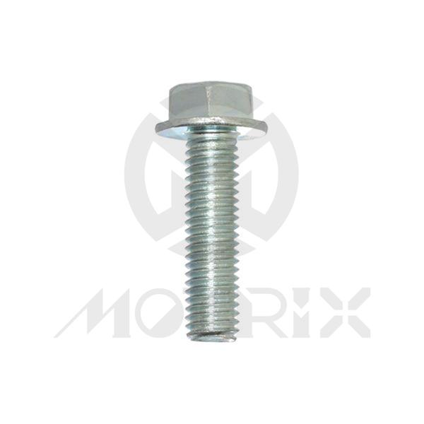 Flange bolt-standard head (full thread) High tensile 8.8, M6X30 AF10 P1.0, silver zinc (25PCS/PKG)