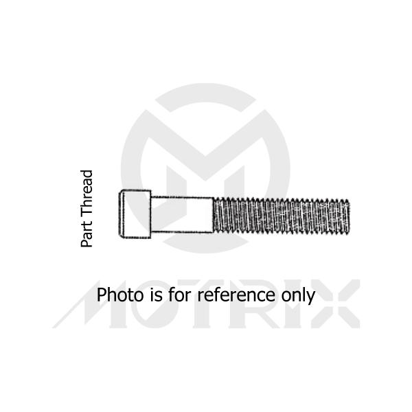 Allen head bolt (full thread) High tensile 8.8, M6X60 AK5 P1.0, silver zinc (25PCS/PKG)