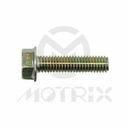 Flanged bolt-small head (full thread), M5X20 AF8 P0.8, silver zinc (25PCS/PKG)