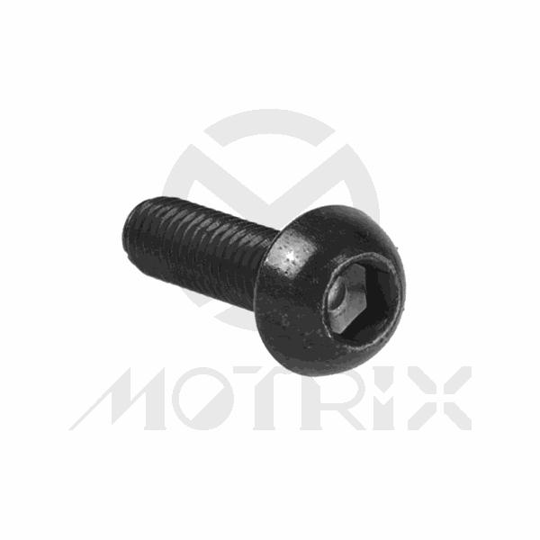(M6xL20 mm) Dome head screw, AL7075