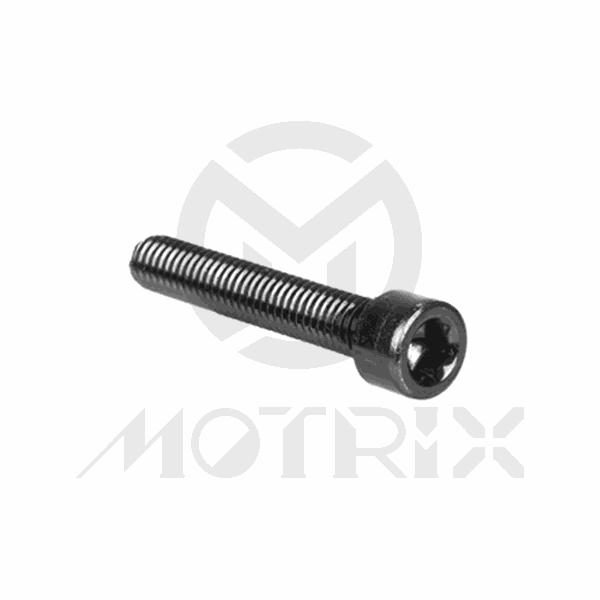 (M6xL35 mm) Socket head screw, AL7075
