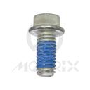 KTM front/rear rotor bolt M6X13MM (6 PCS) grade 10.9 steel
