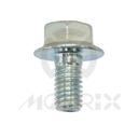 YAMAHA YZ/YZF rear rotor flange bolt M6X16MM (6PCS)