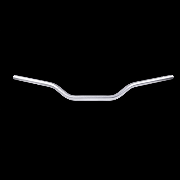 Standard bar (Silver) 22.2mm AL6061 with two screws holes