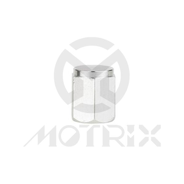 Alloy valve cap silver