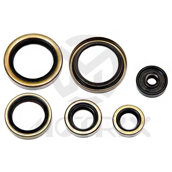 [190-K8021] Oil seal kit for KTM 125