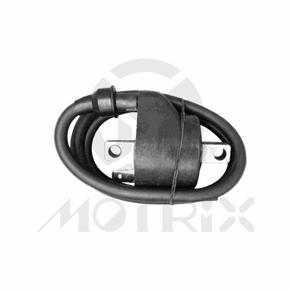 Ignition coil for HONDA TRX500 ; POLARIS Big Boss 4x6, MAGNUM, NORWEGIAN 400L